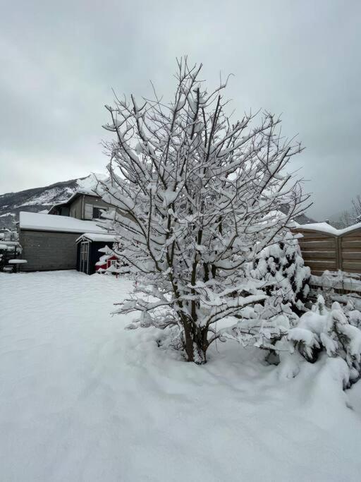 Bel Appartement Dans Residence Cheminee /Jardin Luz-Saint-Sauveur Eksteriør billede